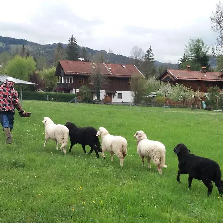 Ferienwohnung Beim Glasl Am Tratenbach アパート レンクグリース